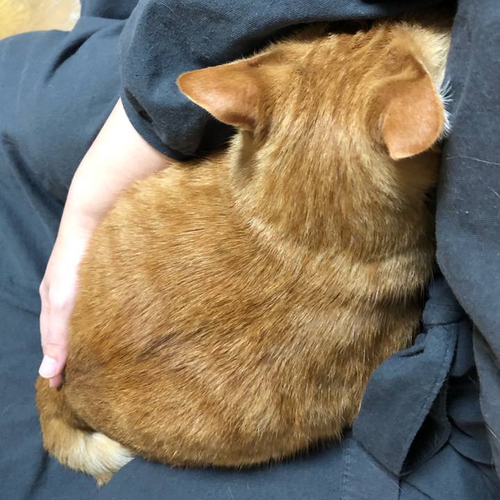 4c90d16e a4a2 4ca7 937c 8d99222c6e86 1605171489322