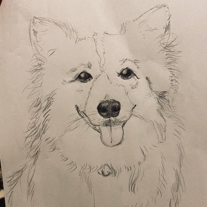 4c90dff3 f29b 4e45 adab 04b81277af1e 1595950047357