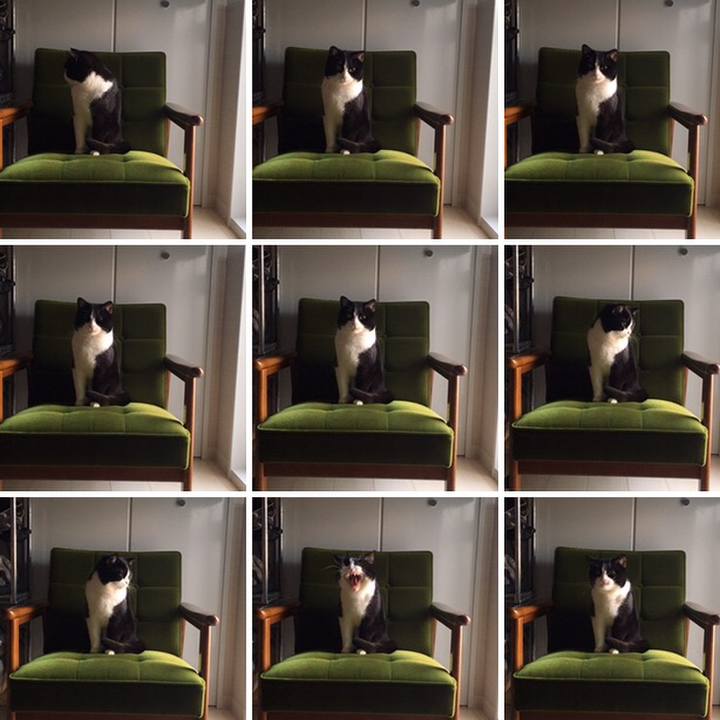 4c911066 05d9 4e41 bac7 c8d028b203fc 1573203072562