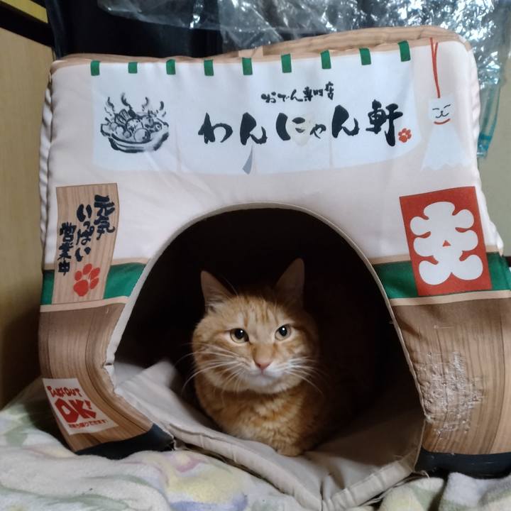 4c9150e5 e2b0 4c13 892c c3dfa64823ba 1676463150366