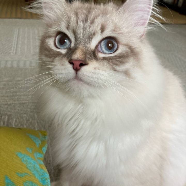 4c9153e0 4f92 47a9 a3b3 544bd50e829b 1693021500406