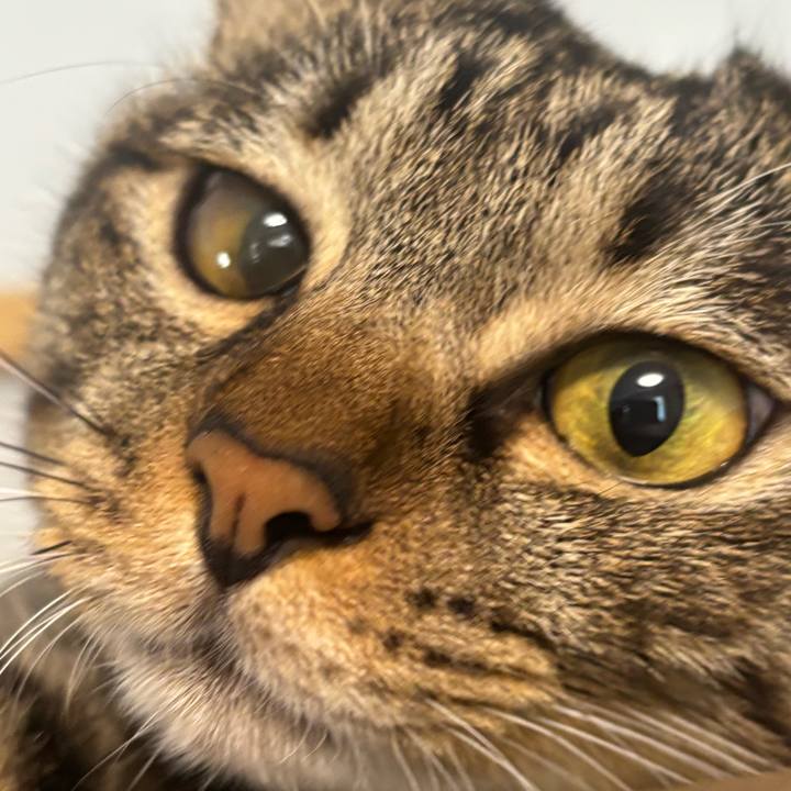 4c9154dc 4032 47cc bfde 78c9d21d7a10 1756518948922