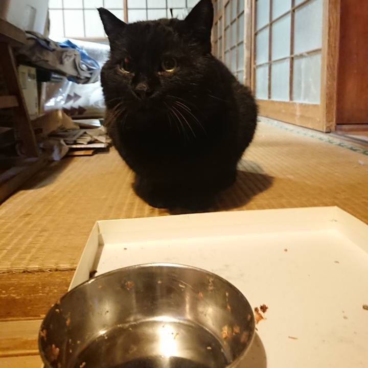 4c916ddb 9e6b 4756 9736 f3d77e451aed 1615723695301