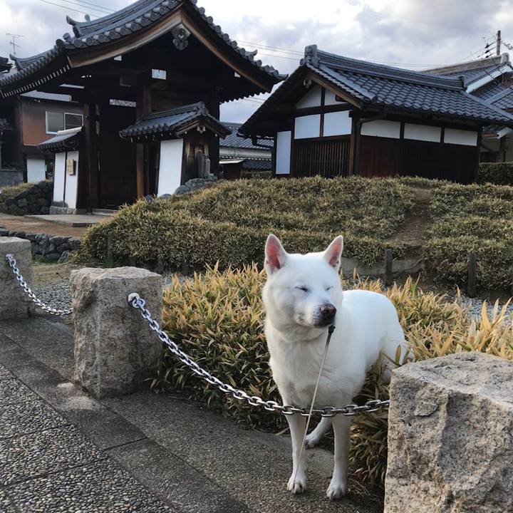 4c91b084 a5a0 42d8 9971 ce2207afc8c7 1521628087985