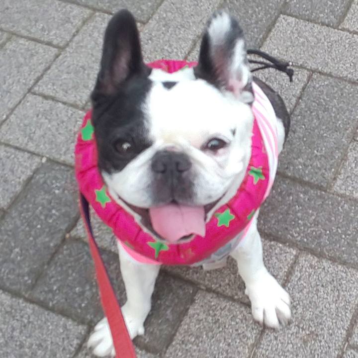 4c91df93 414f 4cde 9c09 87c1ce6ca72b 1655720219411