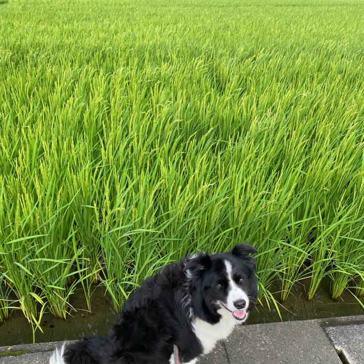 4c920320 e7fa 413e 83ba b3a2a564c0cd 1721901802931