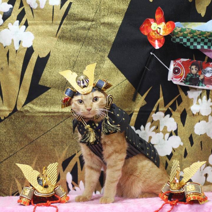 4c9208b4 34e3 4d8e b15b 582d940360ef 1682487742402