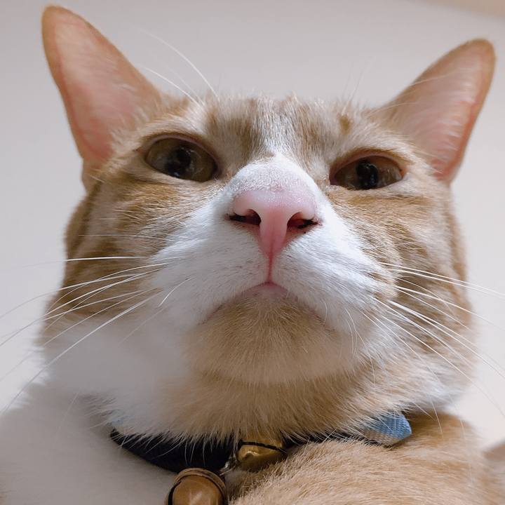 4c9221b7 7ea3 4b94 b2d4 2d4c2e5afa00 1567253449483