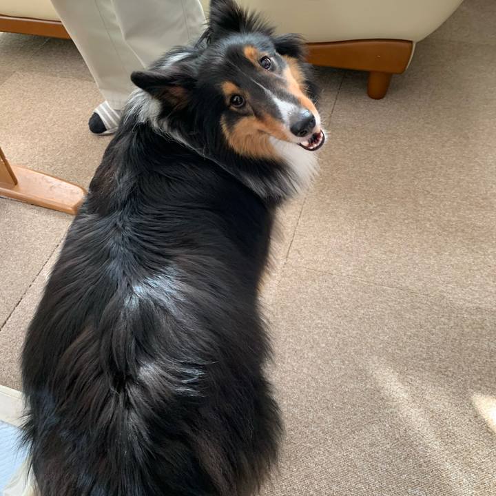 4c928873 dc8c 4ad9 bf0b 258b88f69ea0 1589406007623