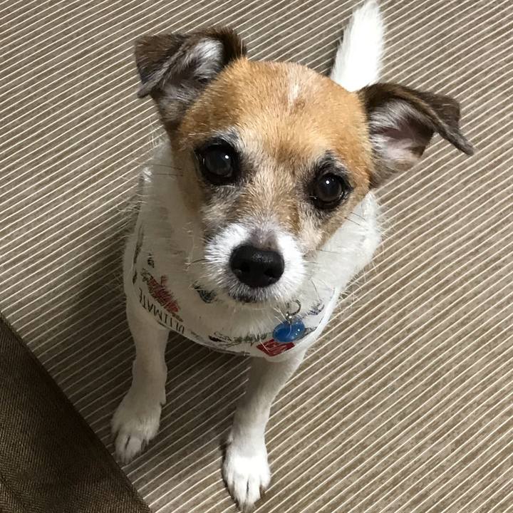 4c92ae06 bfbe 4619 8bb5 d08ddcd04f1c 1568196919318