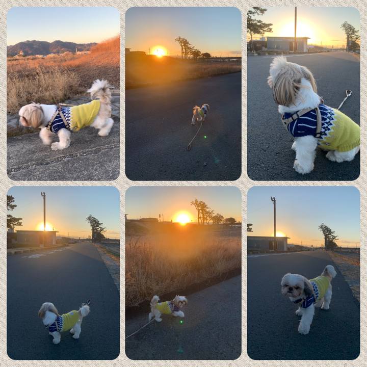 4c92bcaf 29cd 464b b50e eb5707e773ae 1642808304612