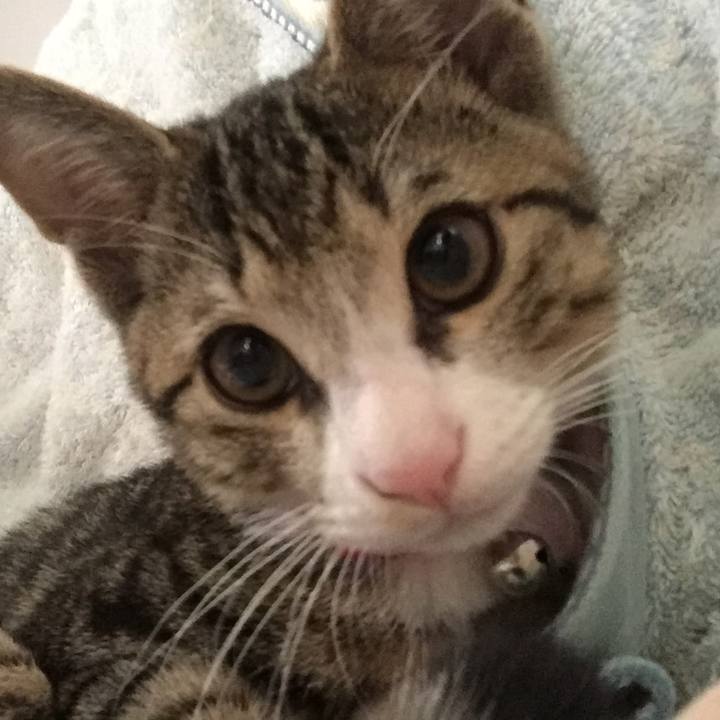 4c92f255 de58 497d 8d8a 4ecb696be183 1657621724471