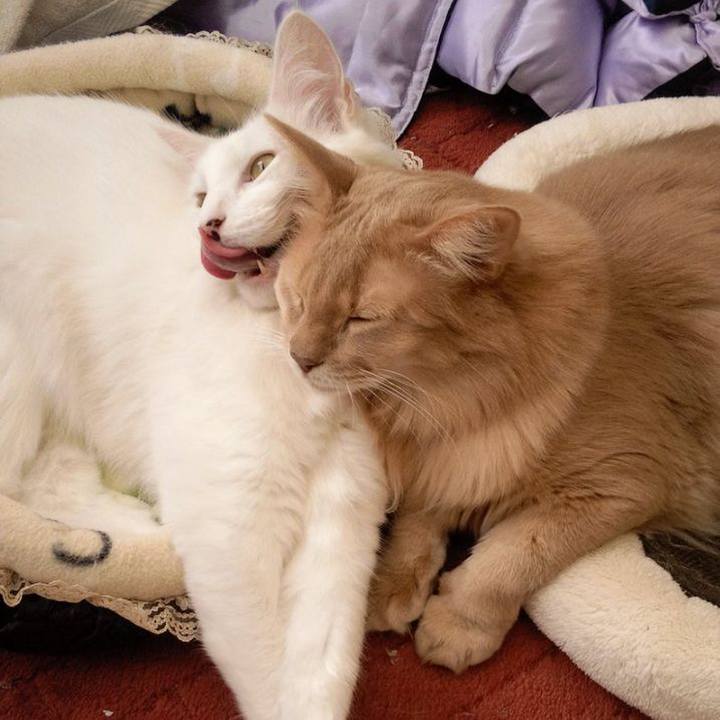 4c9312d3 b3cf 4c7f 949b befc71b845ed 1678835023867