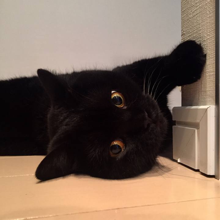 4c9320eb 16cd 4ccd a982 c9e64993259d 1594373114767