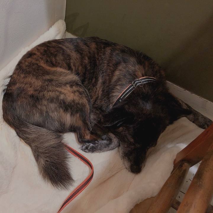 4c933add 686a 40ef b6de f29a83961e47 1631103788185