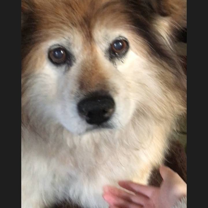 4c934f5e 2503 414c 8d05 c53dbf814248 1568010215293