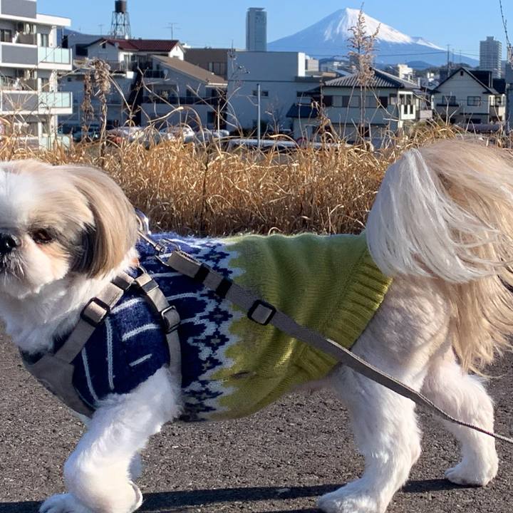 4c936641 f2c5 4fb4 ae99 090ea01c6f61 1710070222716