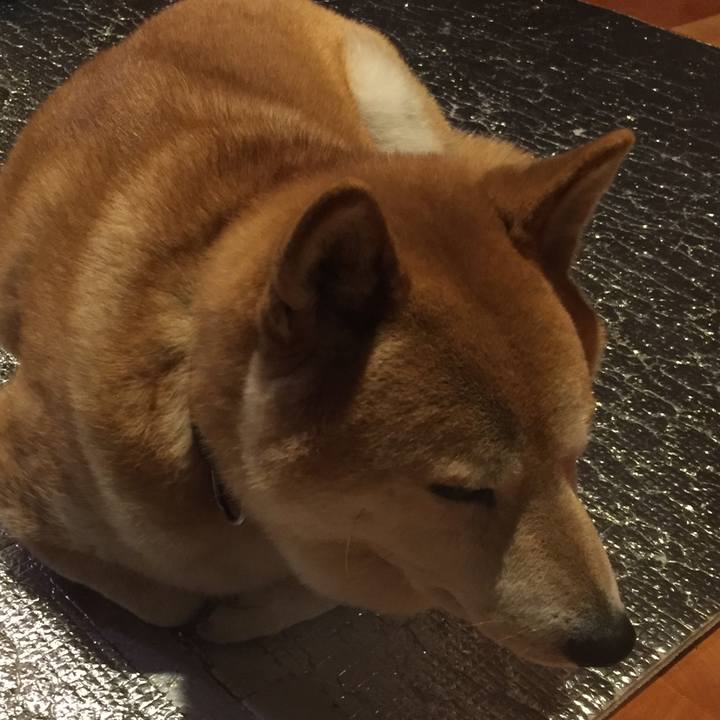 4c93da14 8fcc 4a30 843c 9b6ede2f444e 1512093618310