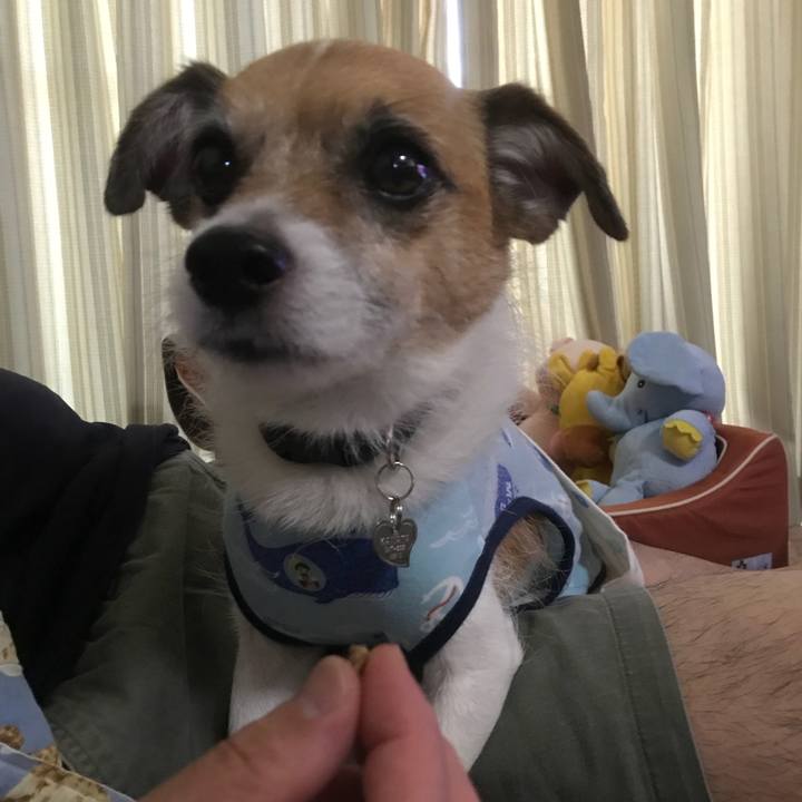 4c93e5aa 7d4d 4889 8a6b 3a65a8206828 1531638657781