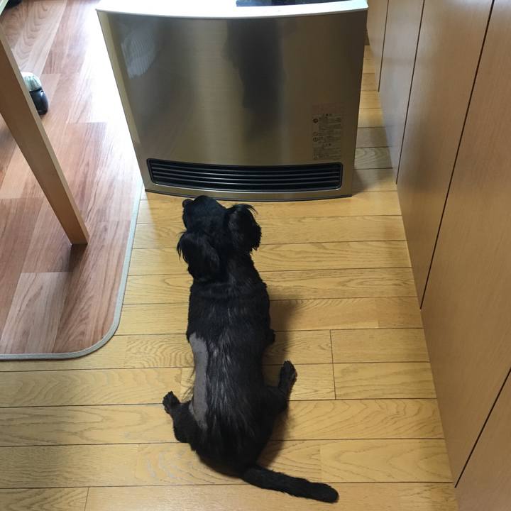 4c940fbe 0187 461e 9e85 5253e67fdbad 1548108120712