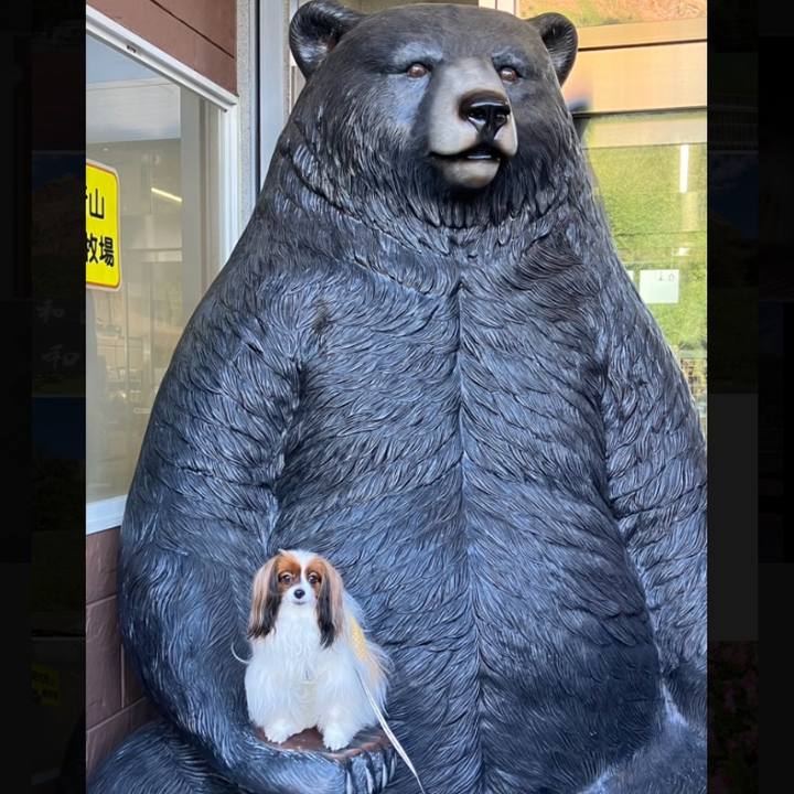 4c941938 3e69 4314 9832 53abd440678c 1695596239327