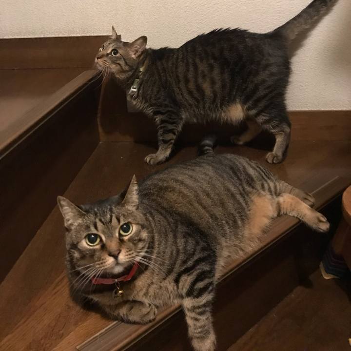 4c943f29 d60e 4350 8a48 c2fe038ccb5f 1591456396403