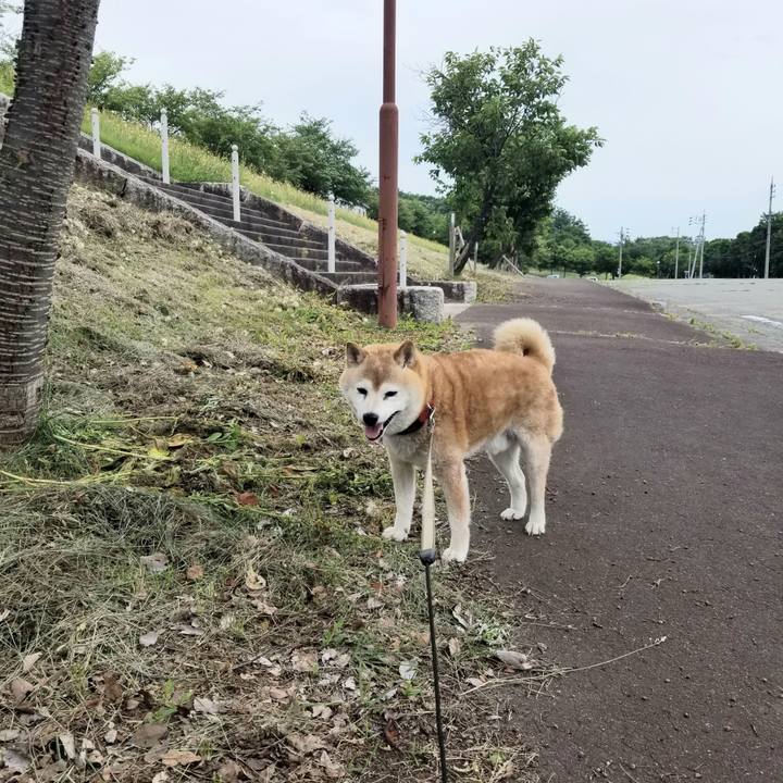 4c946698 eeef 4898 b5ef 103a8c7af6dd 1718945648200