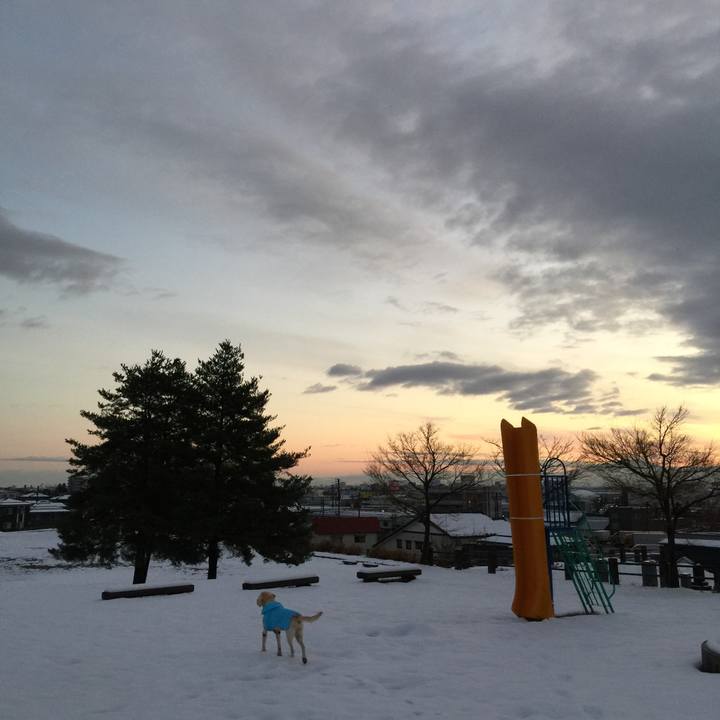 4c94cfb3 24be 4b28 8a17 ae46f30a751f 1580818660992