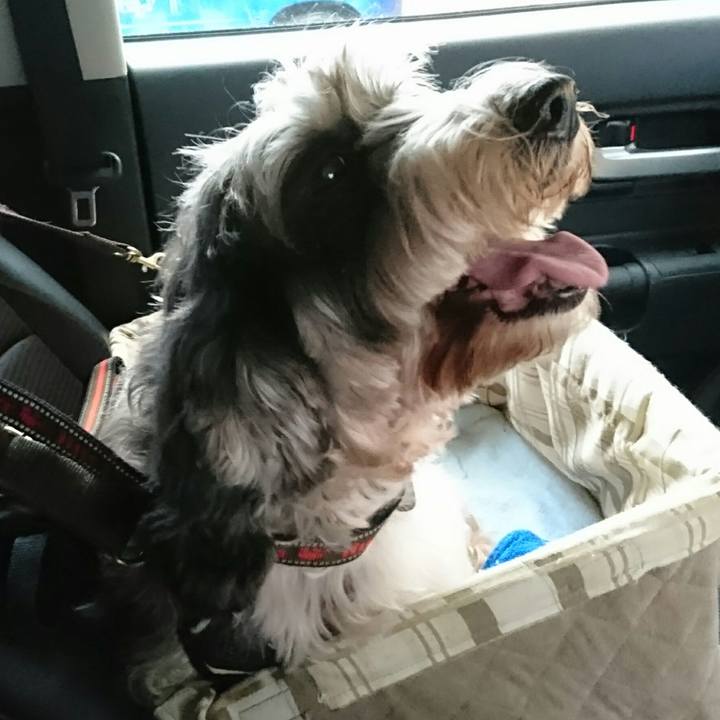 4c95105e 00c0 452c 9699 45b464e29846 1515501945556