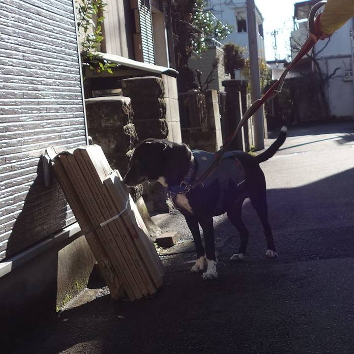 4c952368 e305 4f25 981a b99f7eb8166a 1711500906667