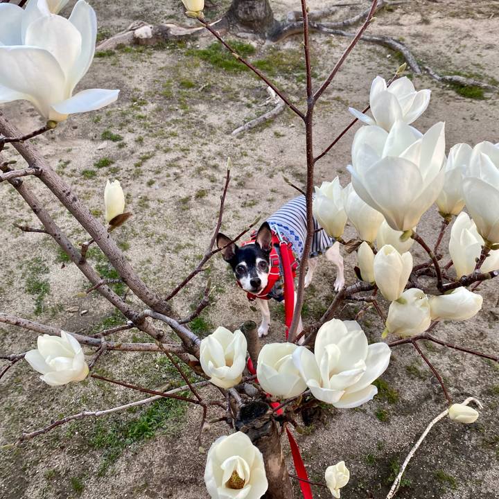 4c953738 4683 429c a687 a47186a33568 1615710385718