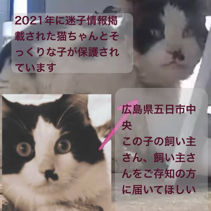 4c955135 d83e 489b 8117 3a842c3e0dfd 1741814763888