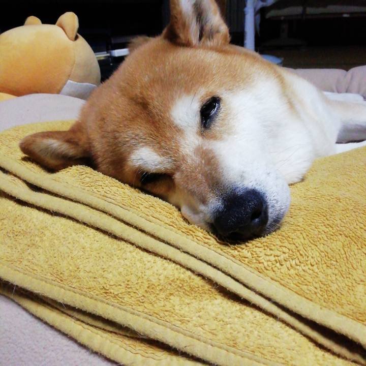 4c9569fd 551c 483e bfd2 2fe674845d77 1624362903200