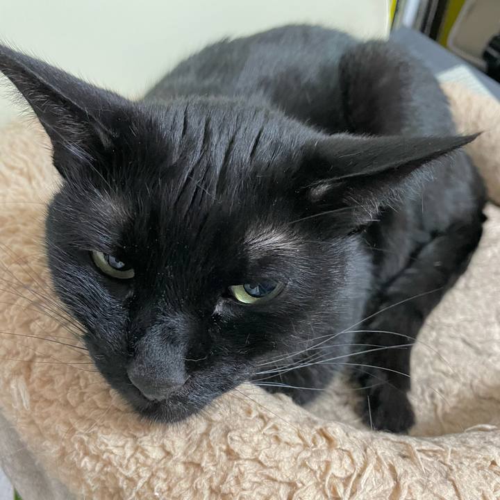 4c957cb3 71c0 4ec6 9668 f62225002c83 1650552469246