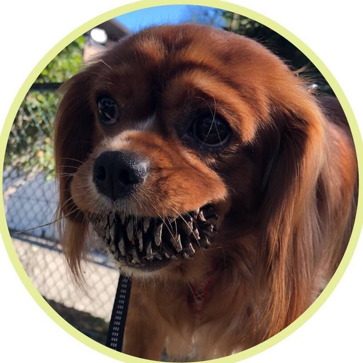 4c95a7f8 b3f5 41c8 be53 423de2464689 1547962496716