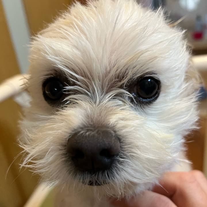 4c960783 7ea5 42b7 af10 45a5073ac05f 1653800868397