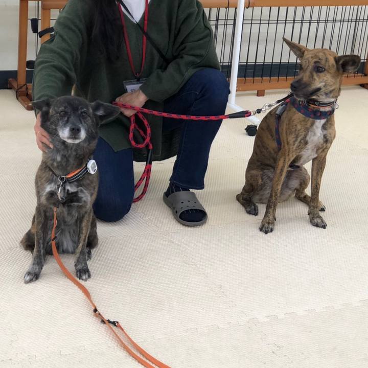 4c96171f 0f00 4684 bd92 4ab04d913a73 1607863713211