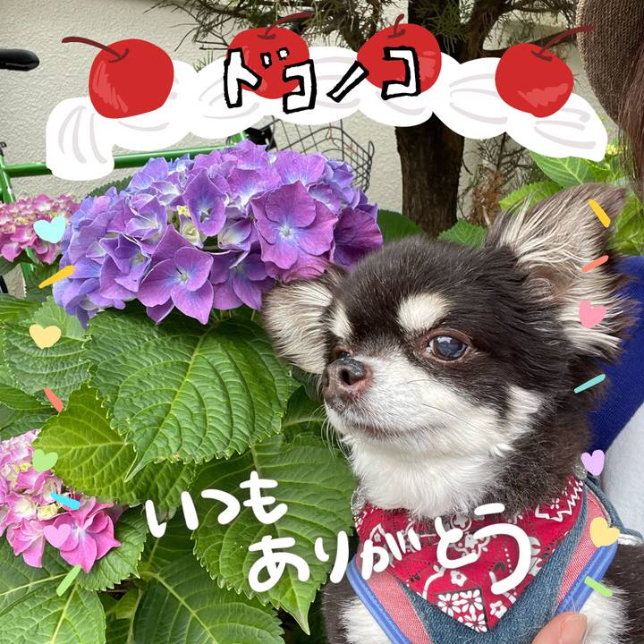 4c962463 5b9b 4605 a534 179cd28260e7 1685975731064