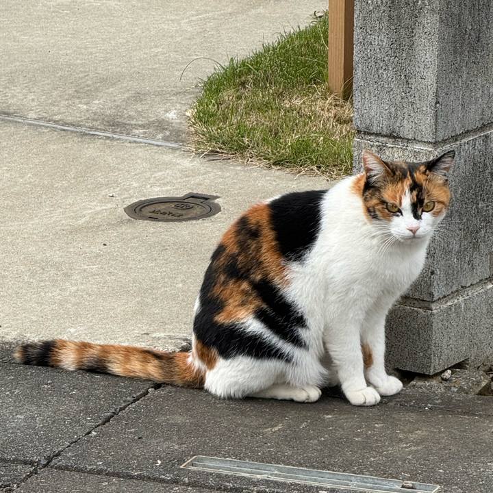 4c965204 b176 4c3e a328 5c93411c261f 1762310826982