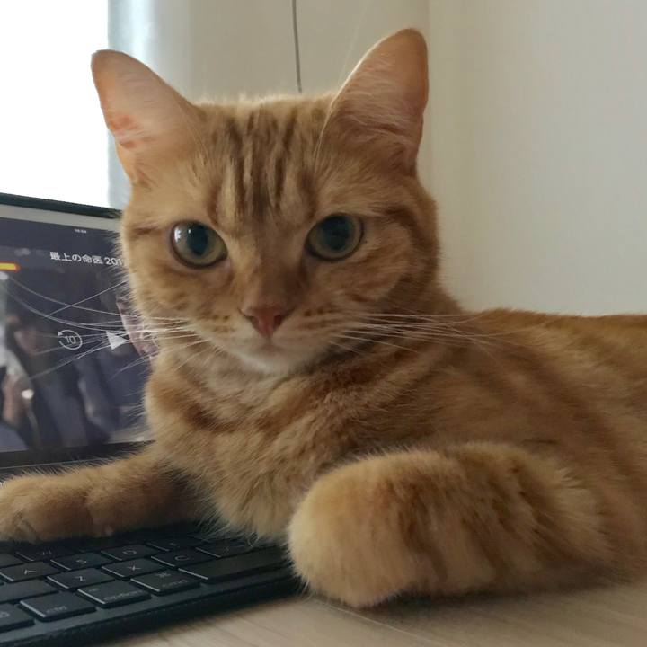 4c967d62 a2c4 460b bbd3 3011044cd481 1536750144035