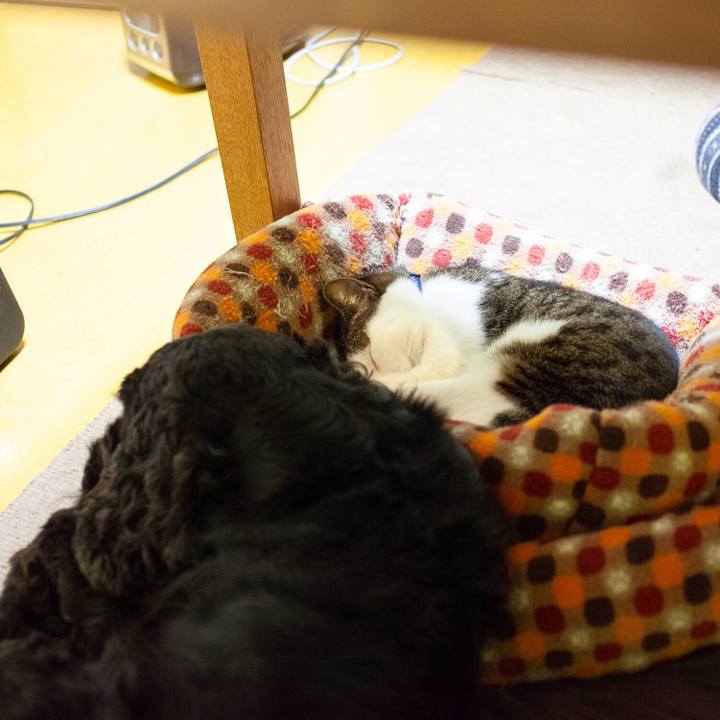 4c969be4 0ba3 4c52 8fba 886e3041f6e9 1549549278373