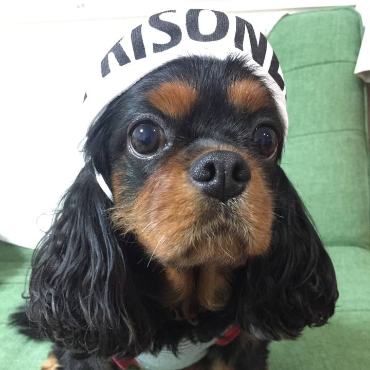 4c96a839 d6d7 4601 a18d 10c76a29c057 1511841181974