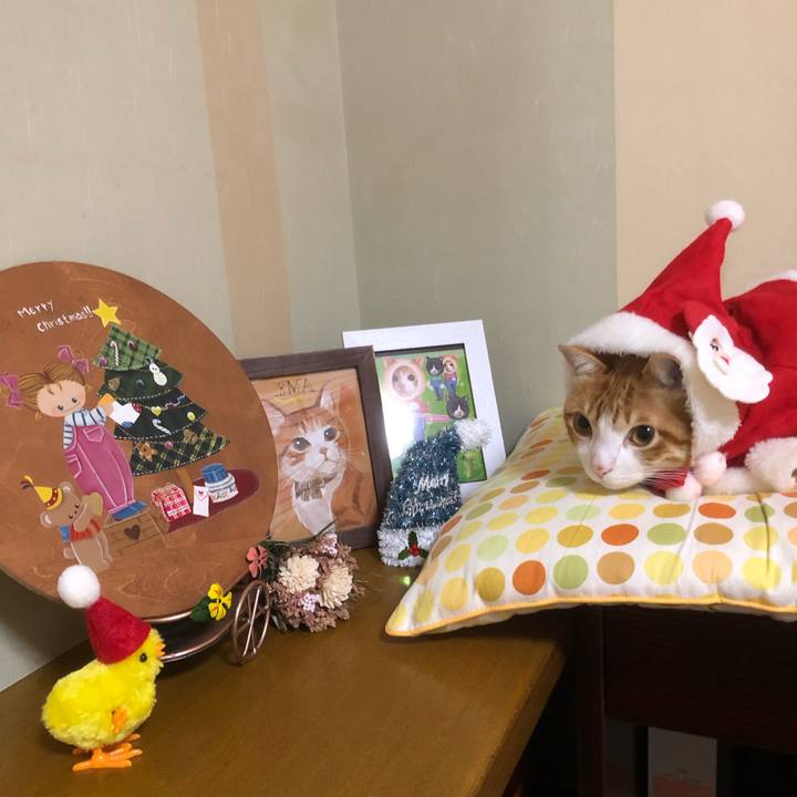 4c96a9b7 c0c2 4348 9dbe 70179e149cde 1545562774471