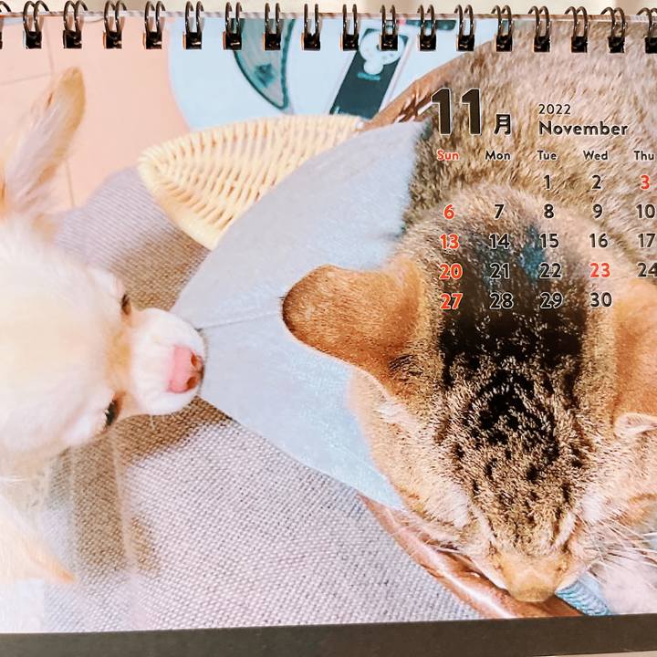 4c96e47e 2695 4a08 a4c1 b60771cfb49e 1667304470884