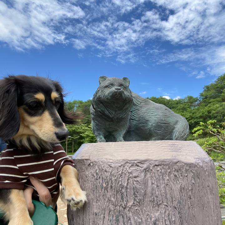 4c970934 c1fb 465c 9b9e ae03018fc0ed 1715228215143