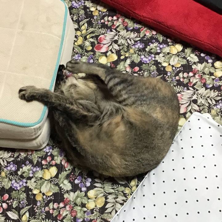 4c9727f2 bcba 4443 ba90 458c09111fae 1596064025876