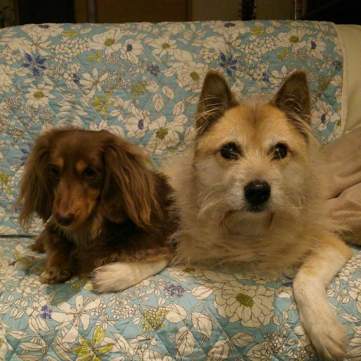 4c974674 0b8f 4f29 a1fb 906bc4c77809 1519462688054