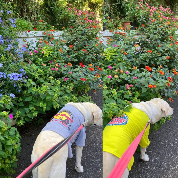 4c975644 a87a 4d97 81be d48ff95a1995 1667392913309