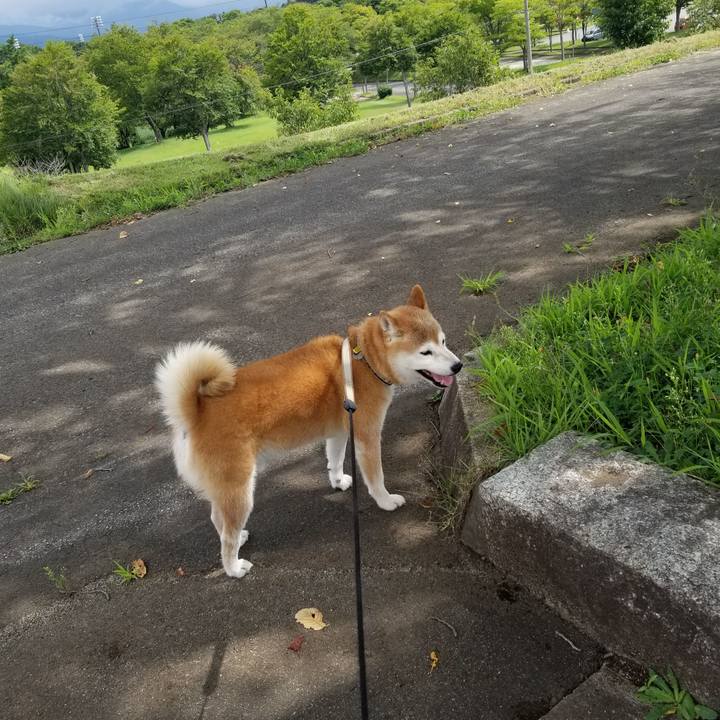 4c975c9b 04b5 4ac2 98bb adcf581ee3bf 1661402245063