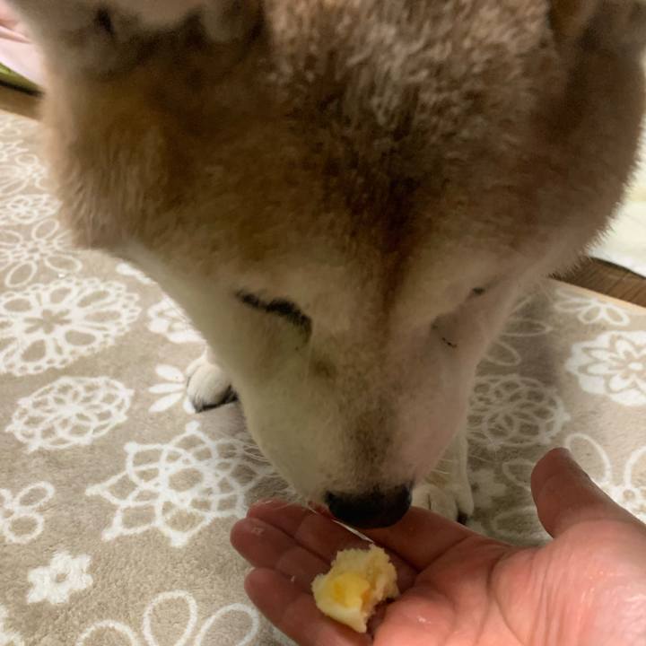 4c97aa21 d7d9 4a8f b742 fe1f584539ea 1665748692545